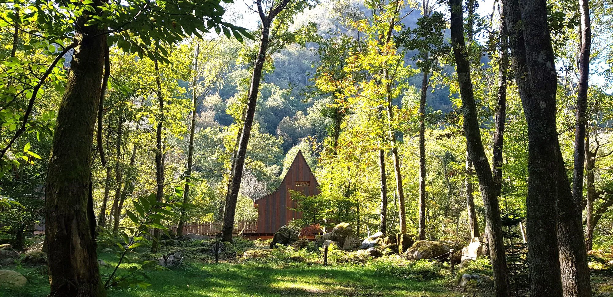 cabane forêt dans les arbres